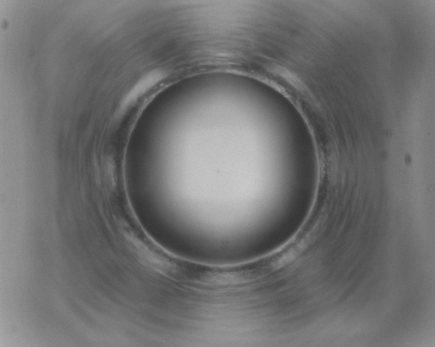 X0000075911402200610062131