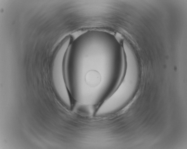 X0000075911449200610062131