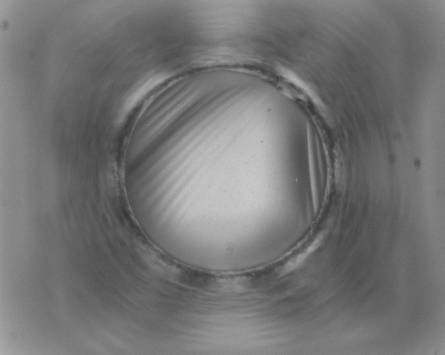 X0000075911453200610062131