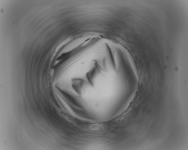 X0000075910050200610151851