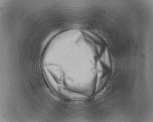 X0000075910147200610151850