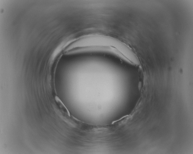 X0000075910150200610151850