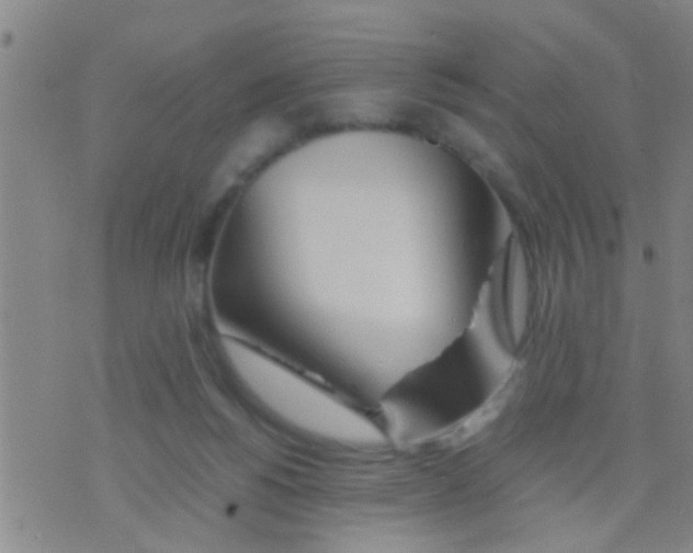 X0000075910168200610151850