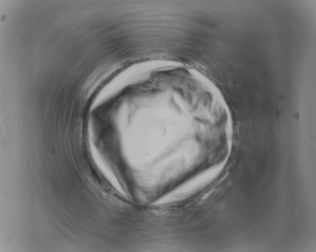 X0000075910194200610151850