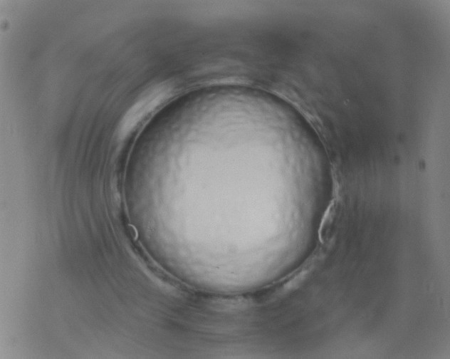 X0000075910245200610151848