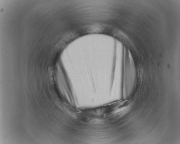 X0000075910366200610151847