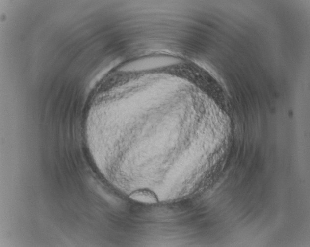 X0000075910390200610151847