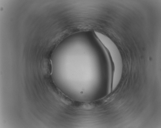 X0000075910416200610151846