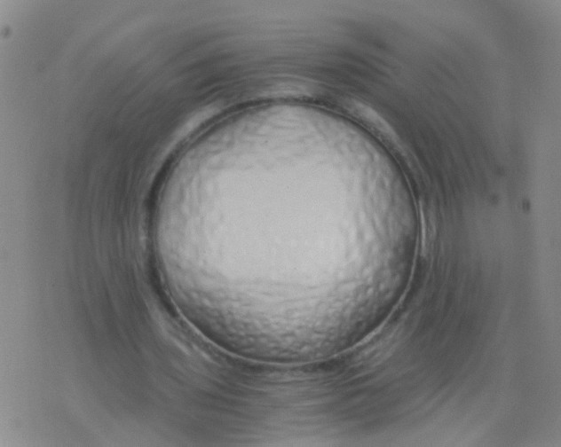X0000075910435200610151845