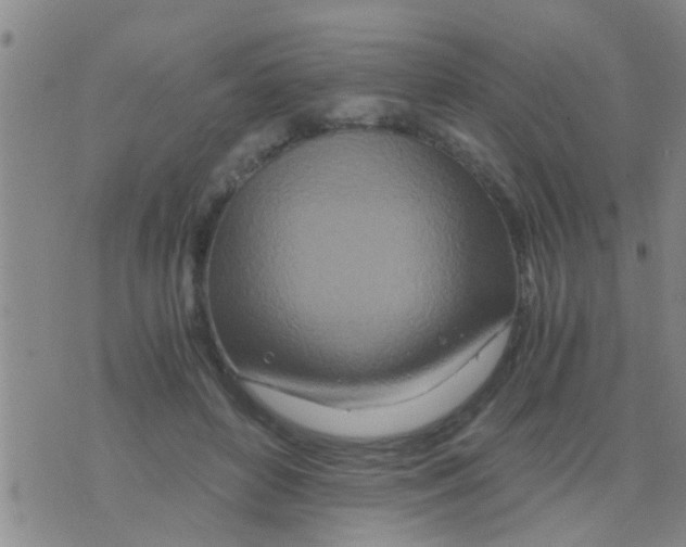 X0000075910504200610151845