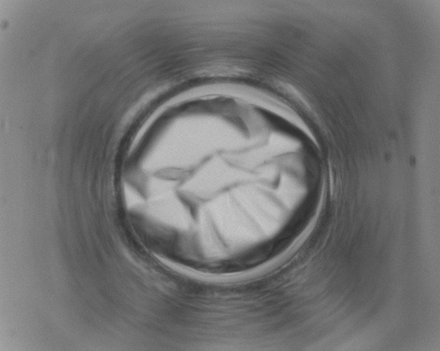 X0000075910531200610151843