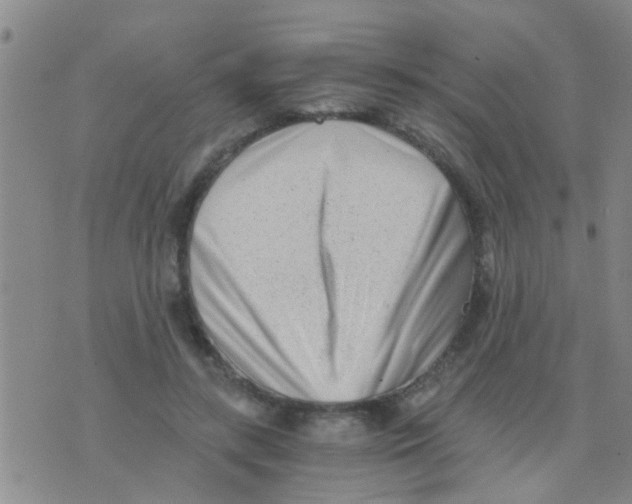 X0000075910547200610151844