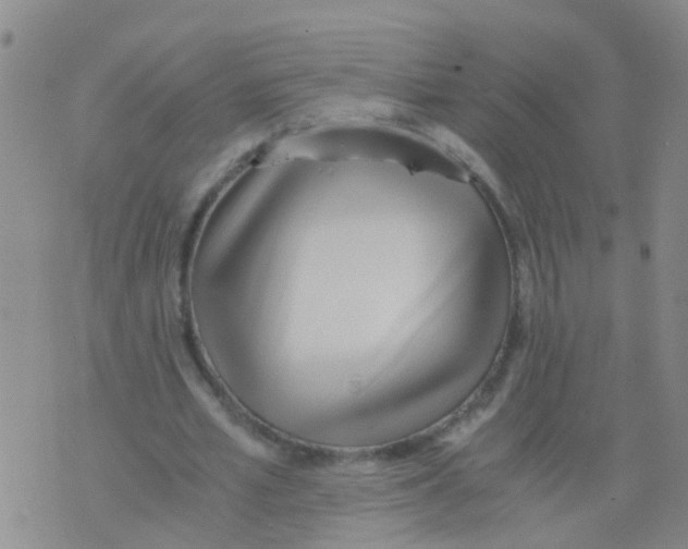 X0000075910581200610151843
