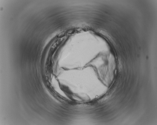 X0000075910630200610151842