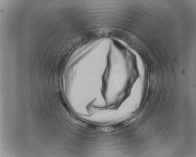 X0000075910654200610151842