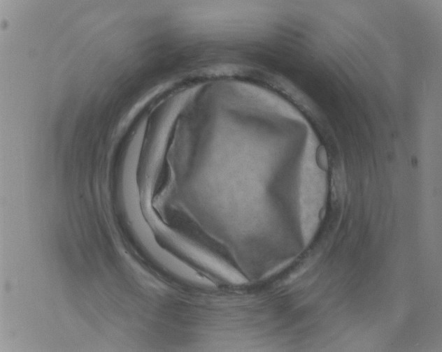 X0000075910722200610151840