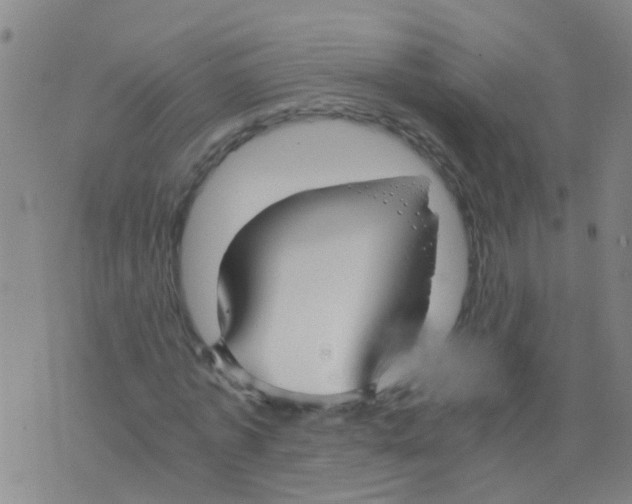 X0000075910773200610151840