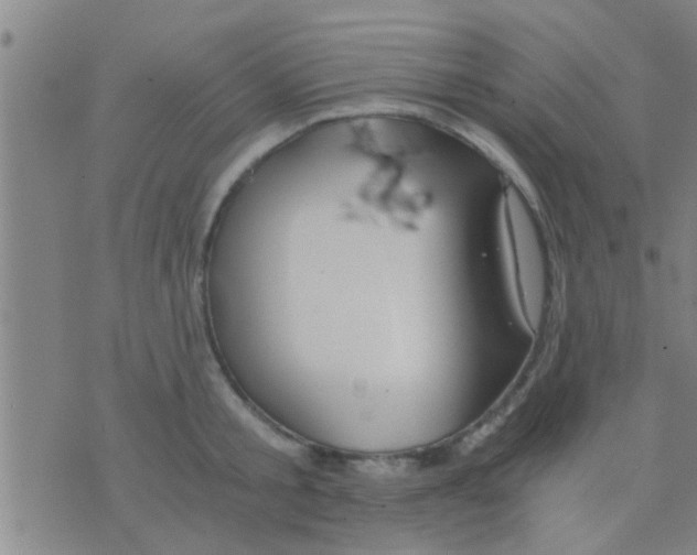 X0000075910805200610151840