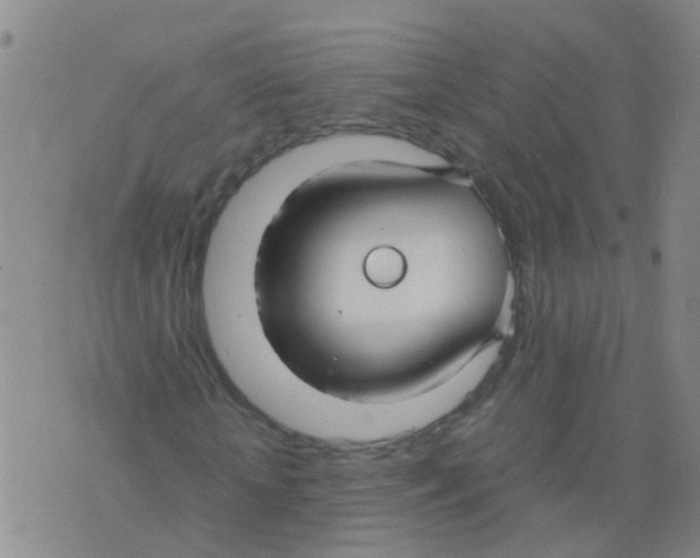 X0000075910818200610151839