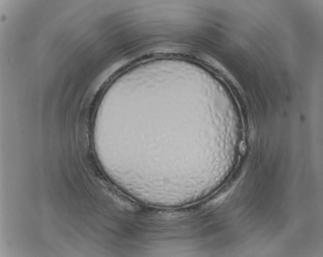 X0000075910829200610151839