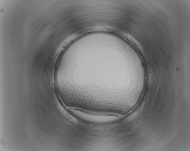 X0000075910938200610151838