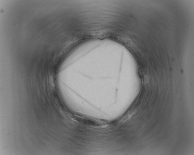 X0000075911106200610151834