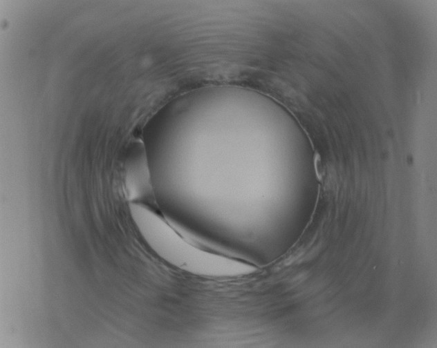 X0000075911202200610151832