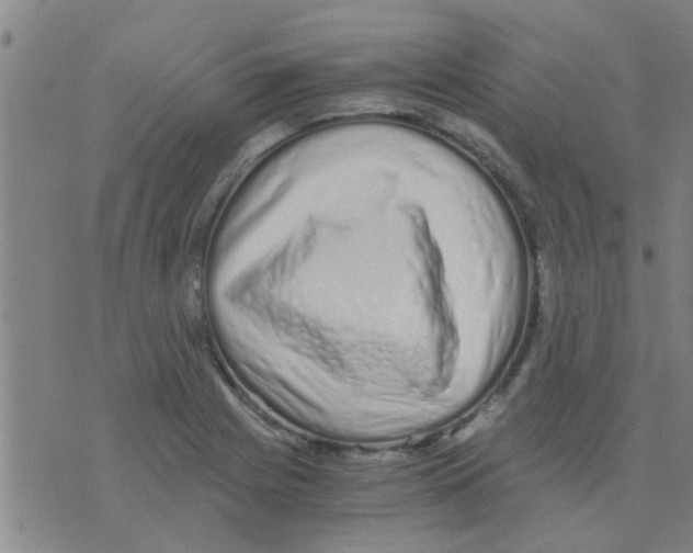 X0000075911225200610151833