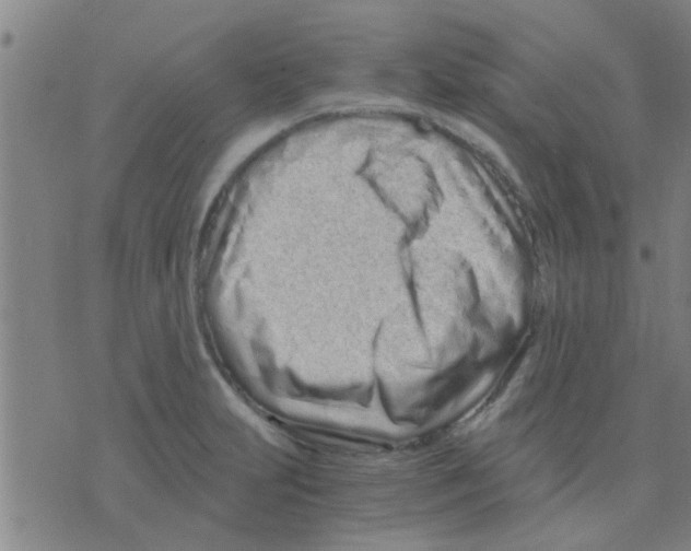 X0000075911231200610151833