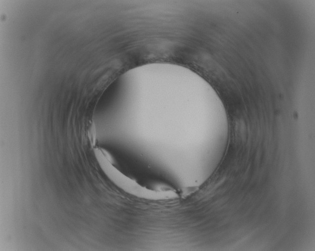 X0000075911250200610151832