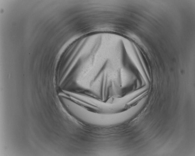 X0000075911331200610151831