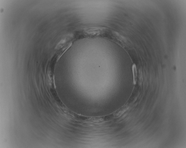X0000075911394200610151829