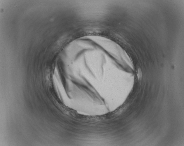 X0000075911396200610151829