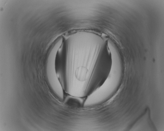 X0000075911449200610151829