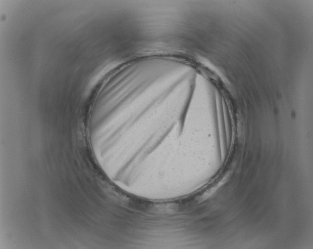 X0000075911453200610151829