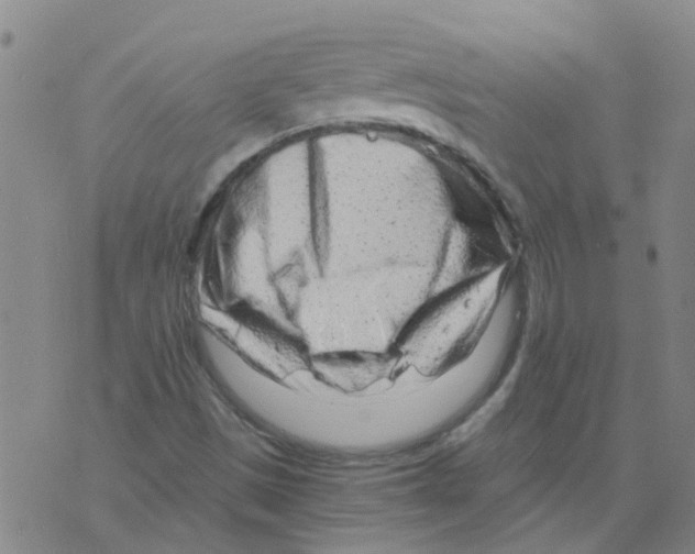 X0000075911497200610151828