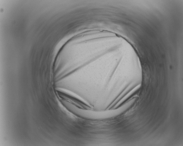X0000075911527200610151828