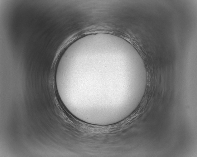 X0000075920004200609151116