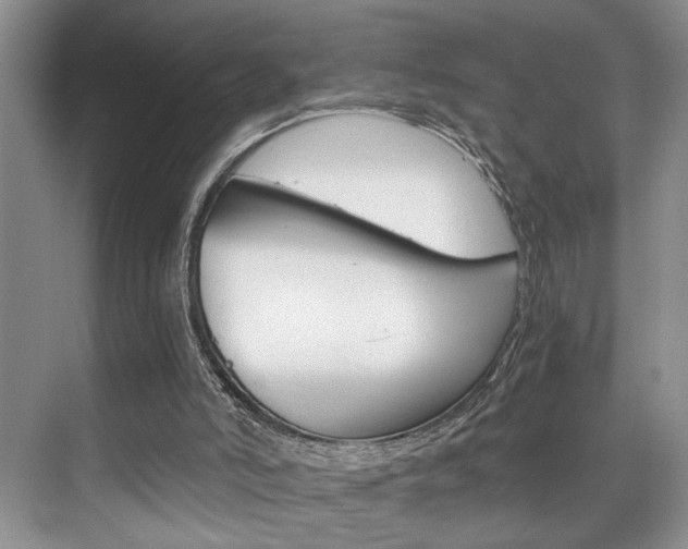 X0000075920006200609151116