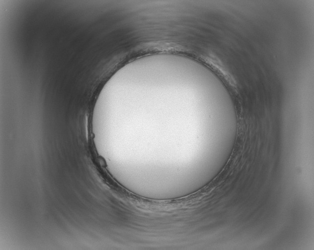X0000075920014200609151116