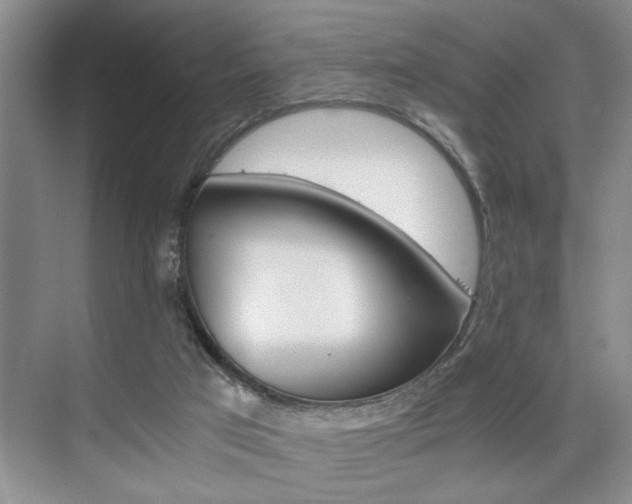 X0000075920017200609151116