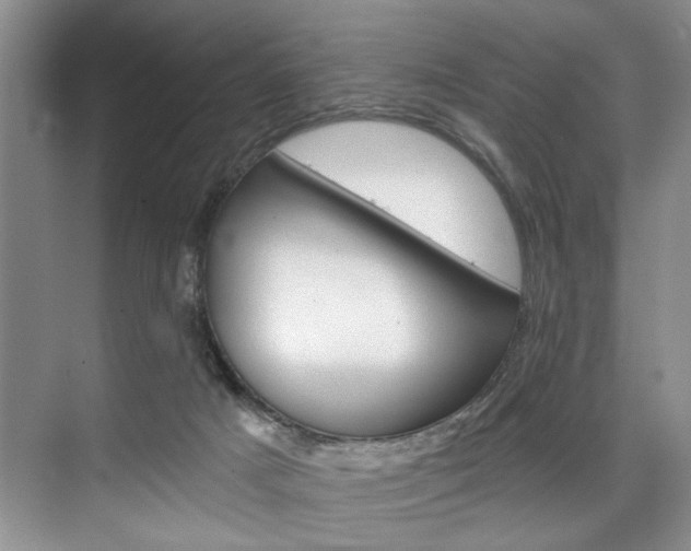 X0000075920025200609151115