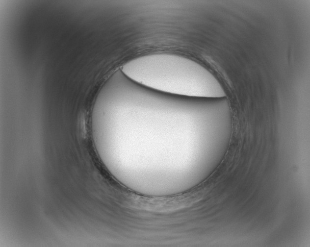 X0000075920026200609151115