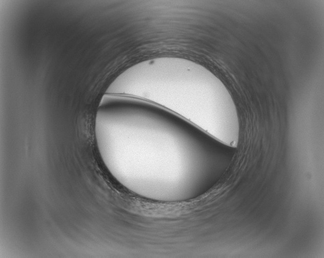 X0000075920044200609151115