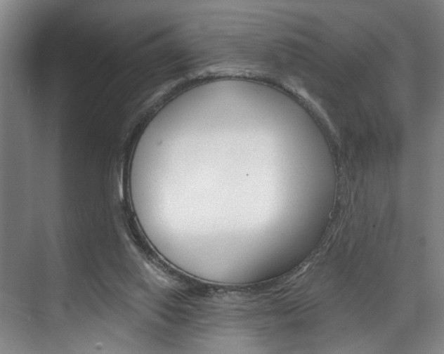 X0000075920062200609151114