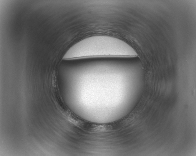 X0000075920083200609151115