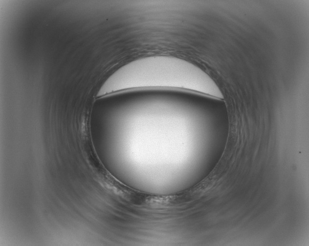 X0000075920084200609151115