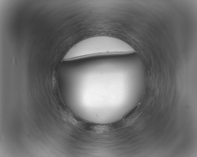X0000075920085200609151115