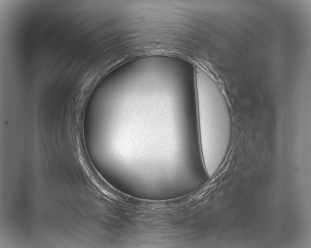 X0000075920097200609151114