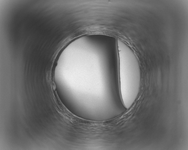 X0000075920099200609151114